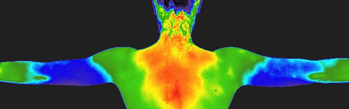 Digital Infrared Thermal Imaging